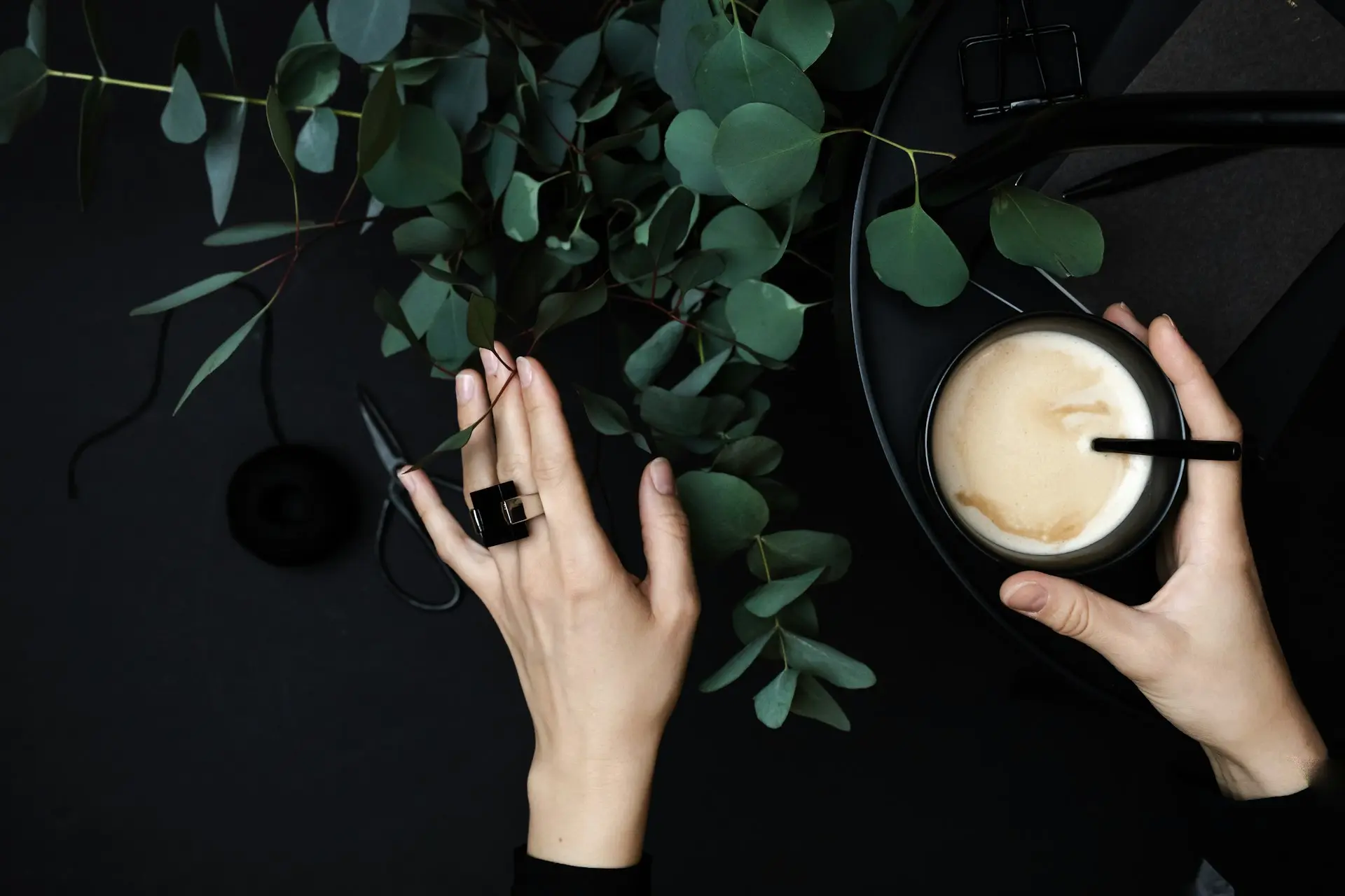 person wearing silver ring holding green plant